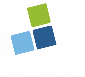 logo_roney